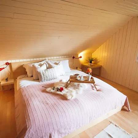 Beautiful Wooden House With Jacuzzi - Chalet Hisa Karlovsek